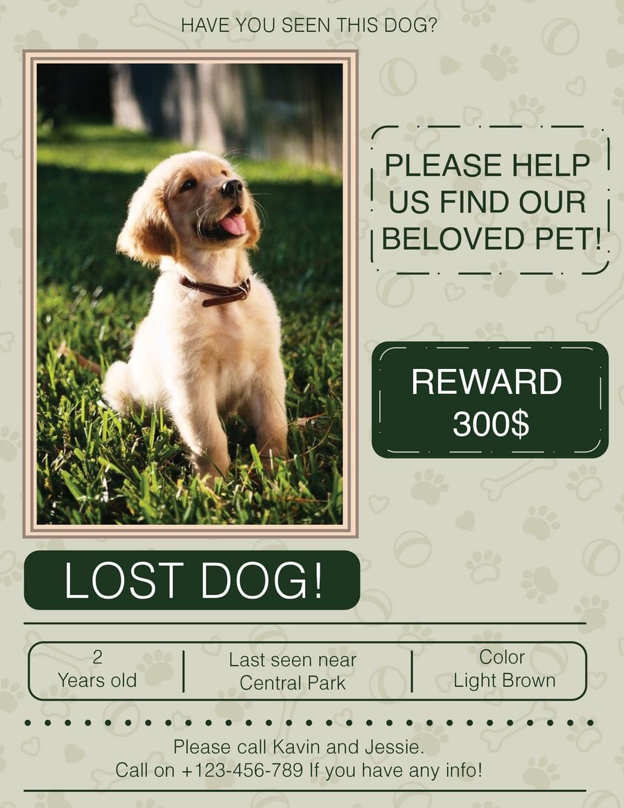 Informative Lost Dog Flyer Template WordLayouts