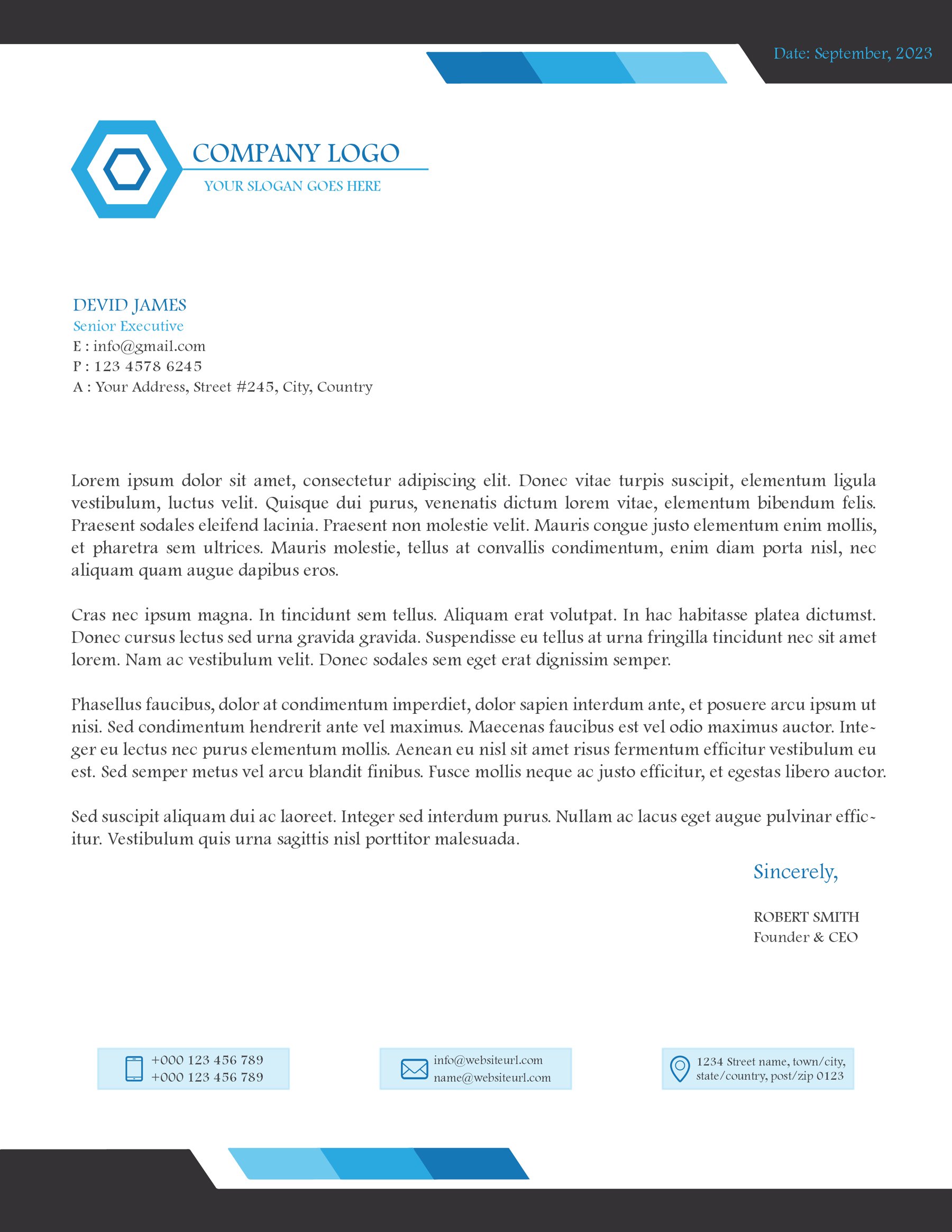 Professional Letterhead Template - WordLayouts