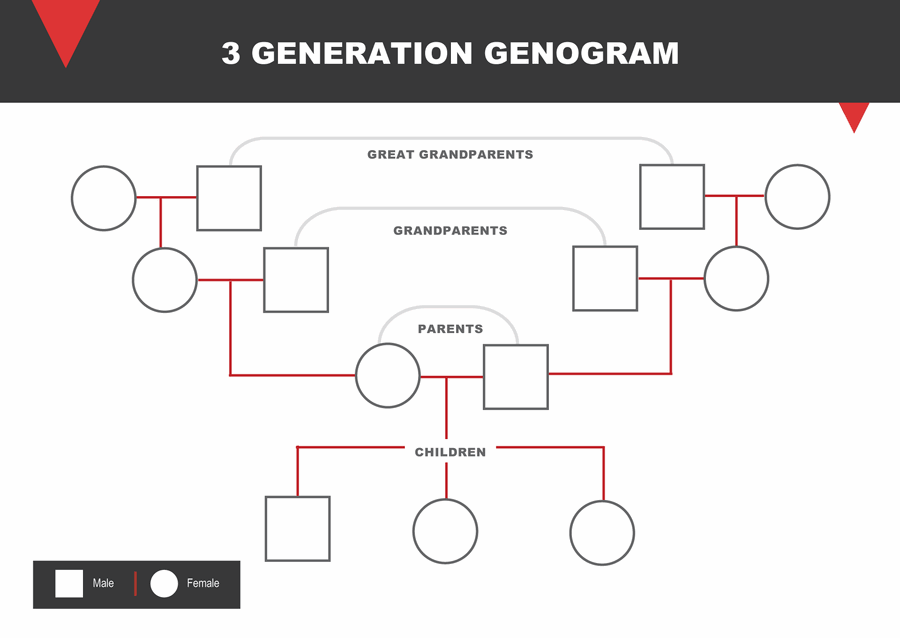 Free Genogram Templates (Editable) - WordLayouts