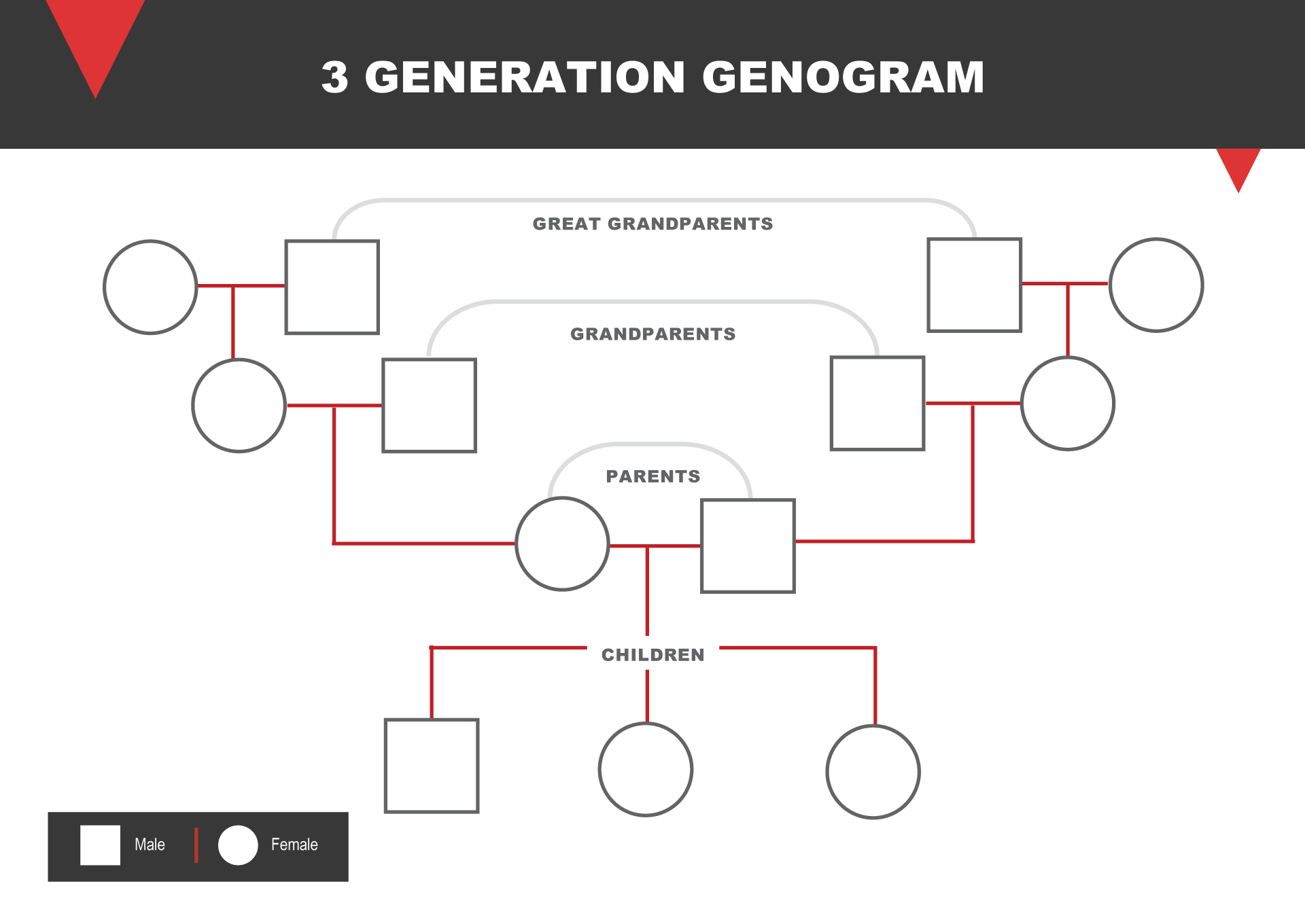 Free Genogram Templates (Word, PowerPoint, Slides) - WordLayouts