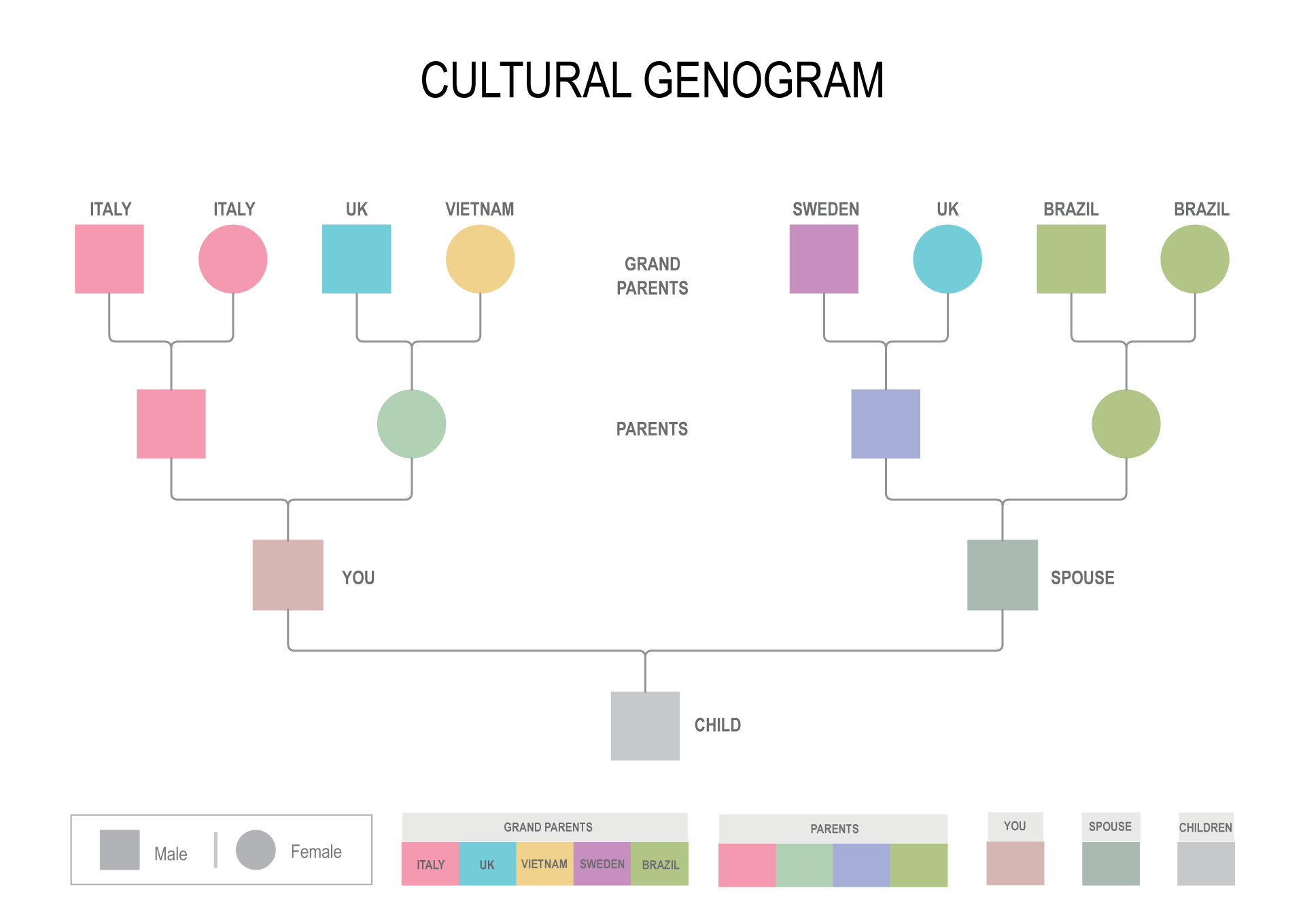 Global Heritage Cultural Genogram Template - Customizable - Adobe Illustrator