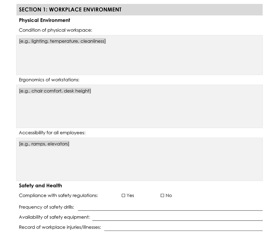 Free Workplace Assessment Template - Word, GDoc - WordLayouts