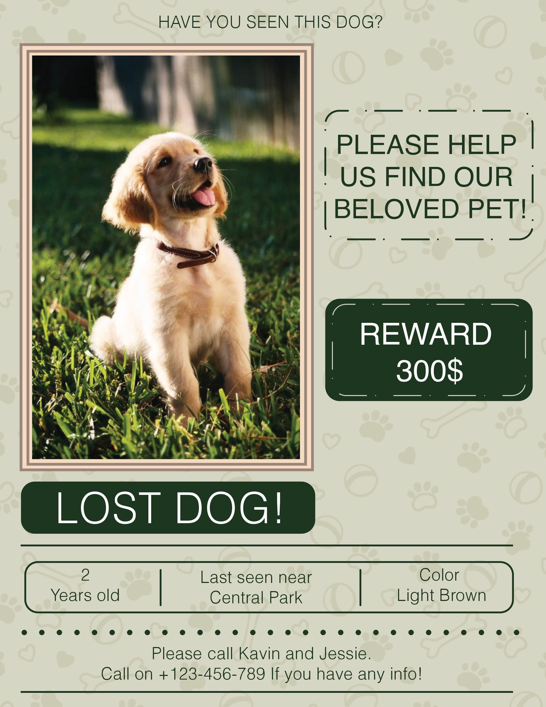 Compassionate Lost Dog Flyer Template - WordLayouts