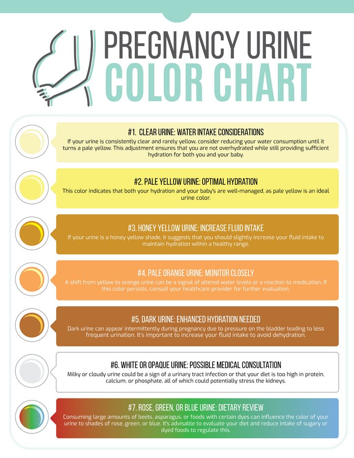 Printable Urine Color Chart For Pregnancy WordLayouts printable-urine-color-chart-for-pregnancy-wordlayouts