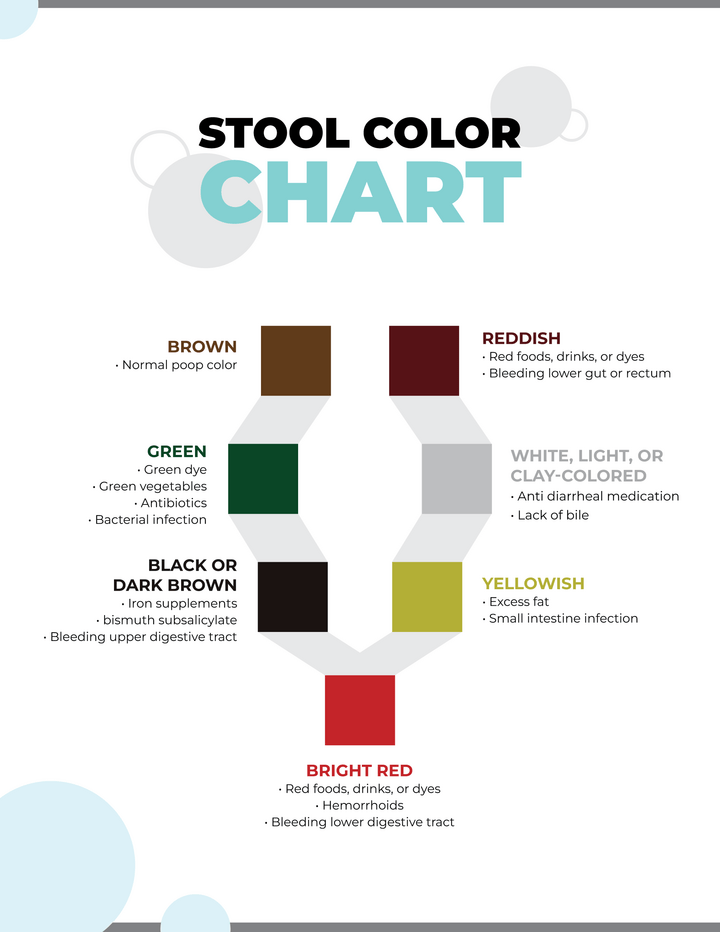 Printable Bristol Stool Chart - WordLayouts