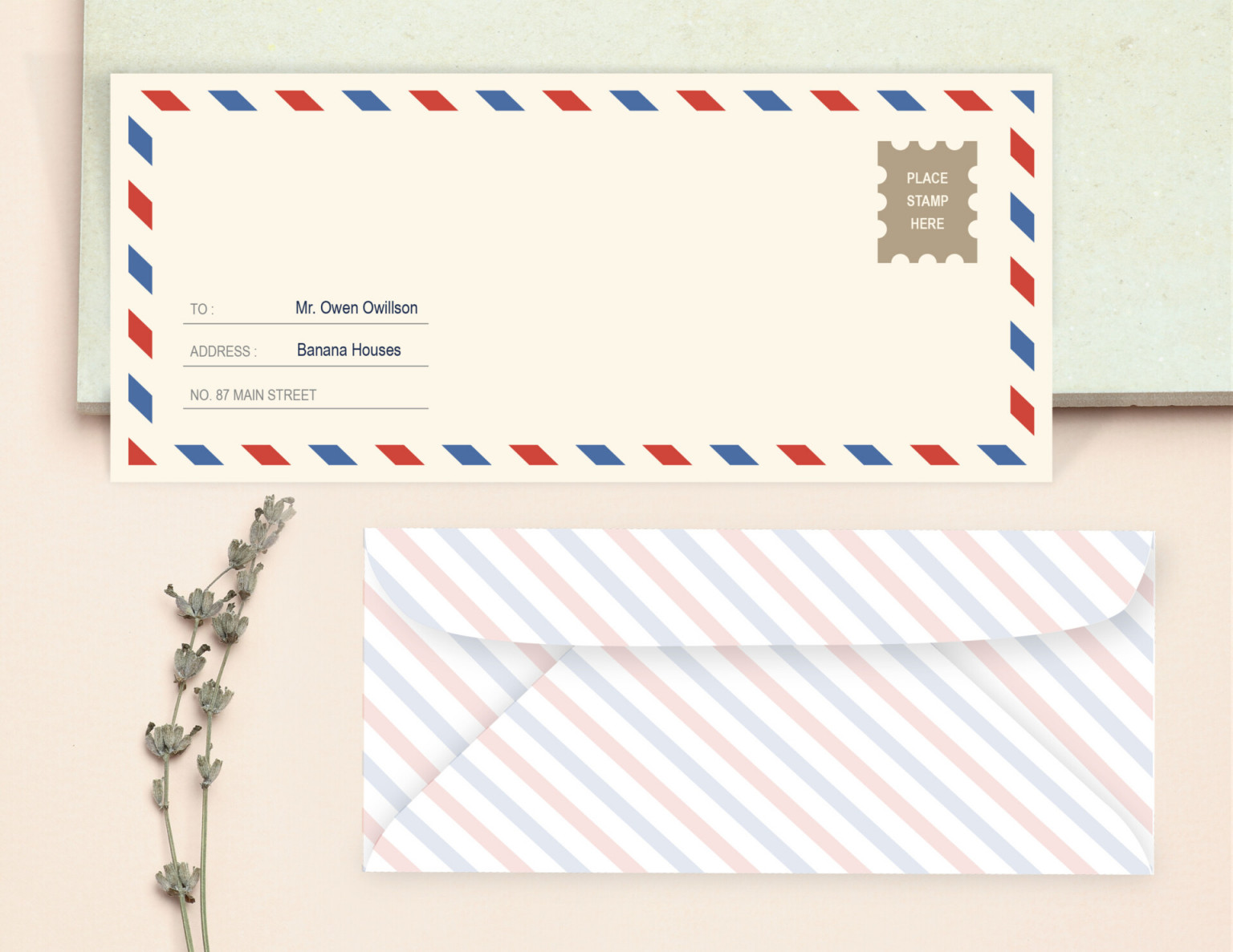 Free Printable Window Envelope Template (Word, Illustrator, GDocs ...