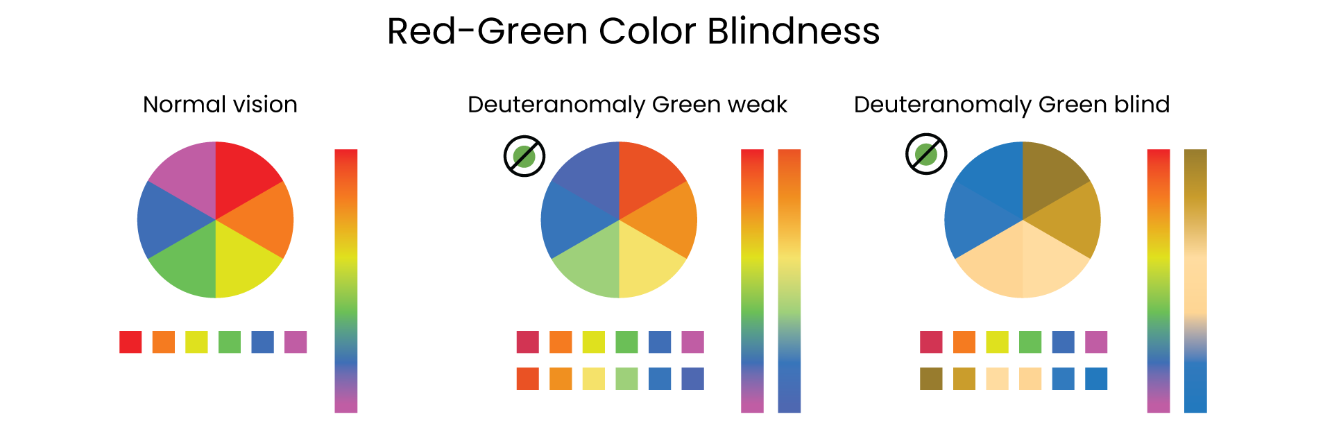 Color Wheel Chart: Perception Through Different Lenses