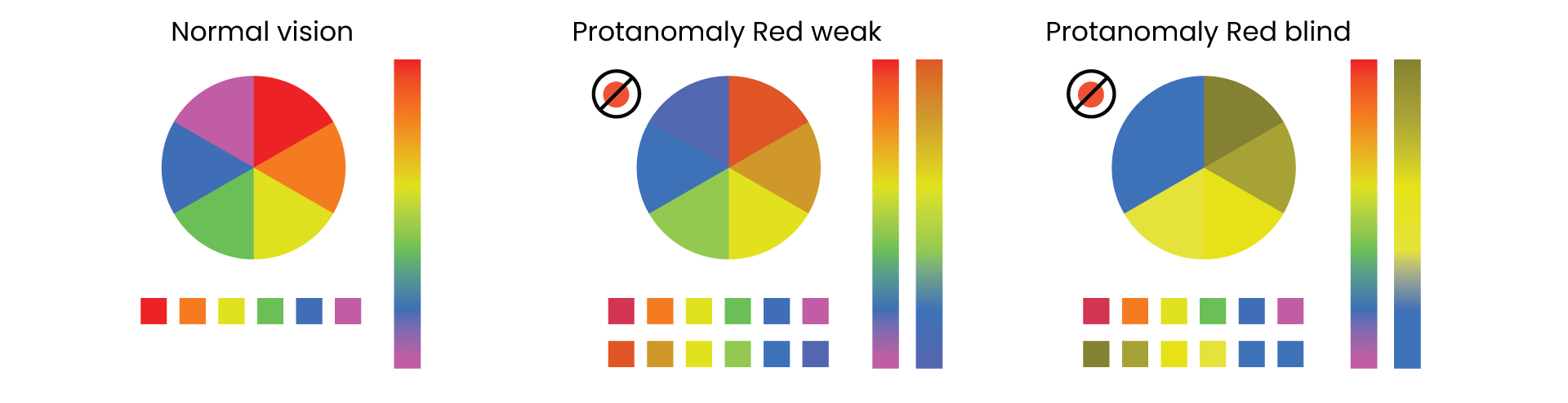 Color Wheel Chart: Perception Through Different Lenses
