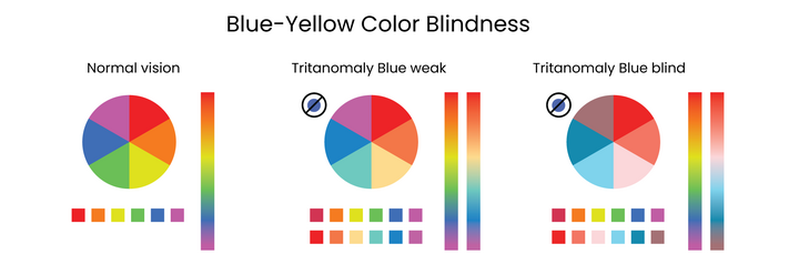 Color Wheel Chart: Perception Through Different Lenses