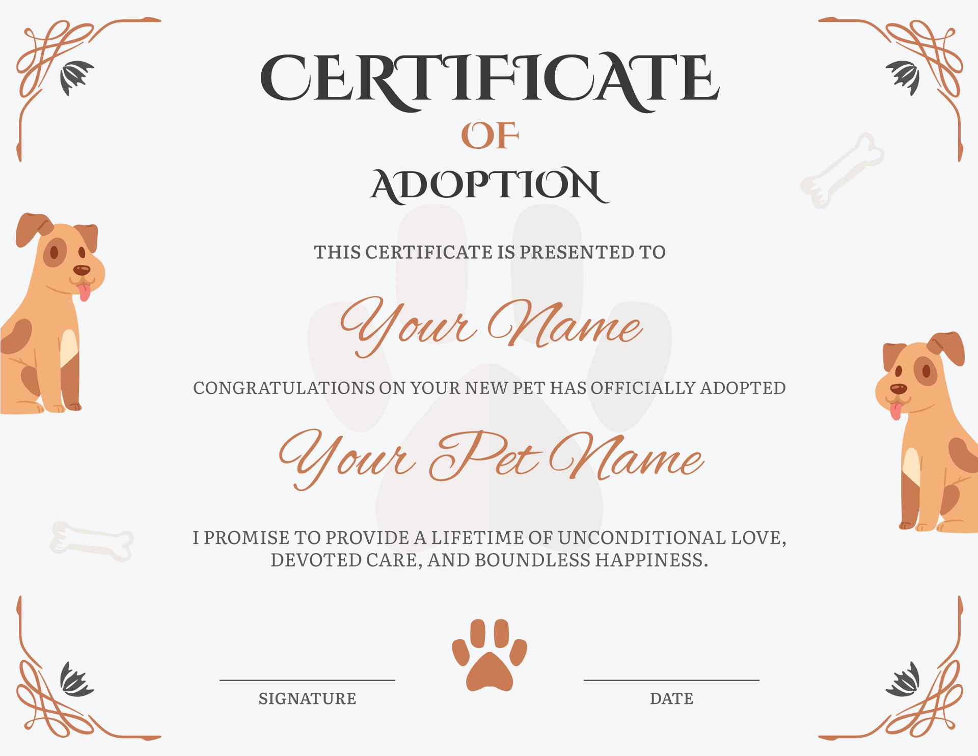 Free Pet Adoption Certificate Templates - WordLayouts free-pet-adoption-certificate-templates-wordlayouts