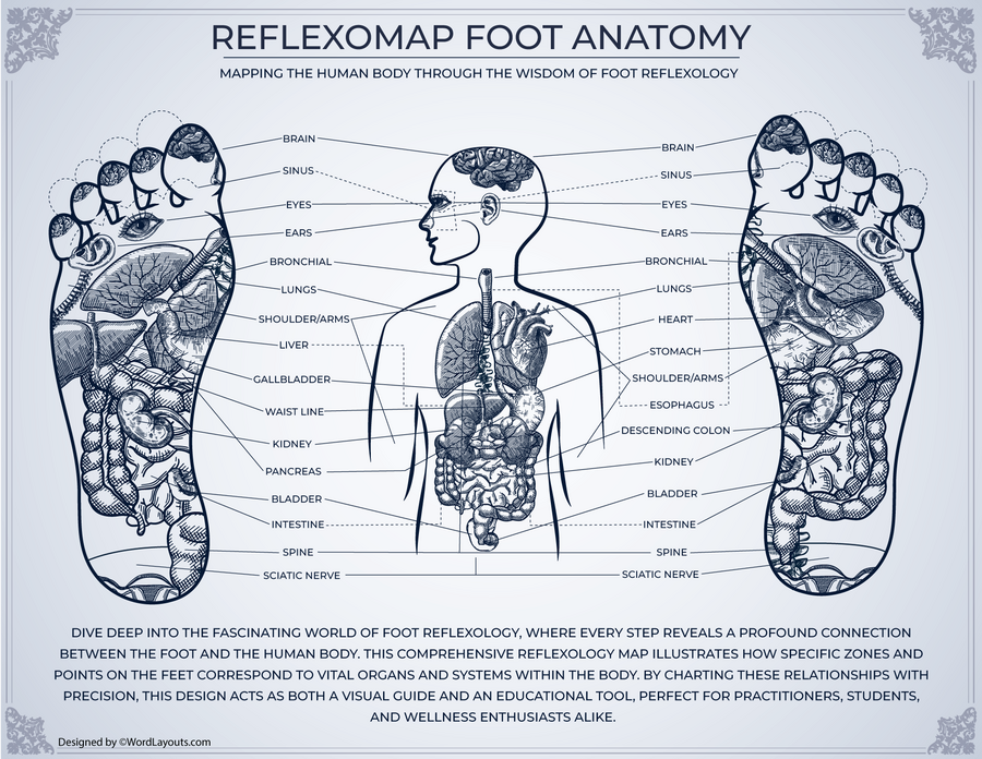 Detailed Foot Reflexology Chart (Printable) - WordLayouts