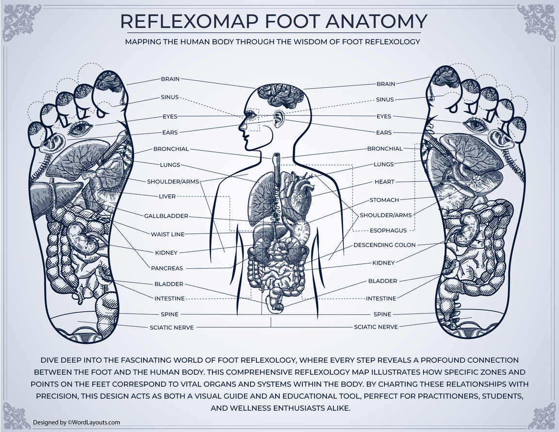 Printable Foot Reflexology Charts - WordLayouts