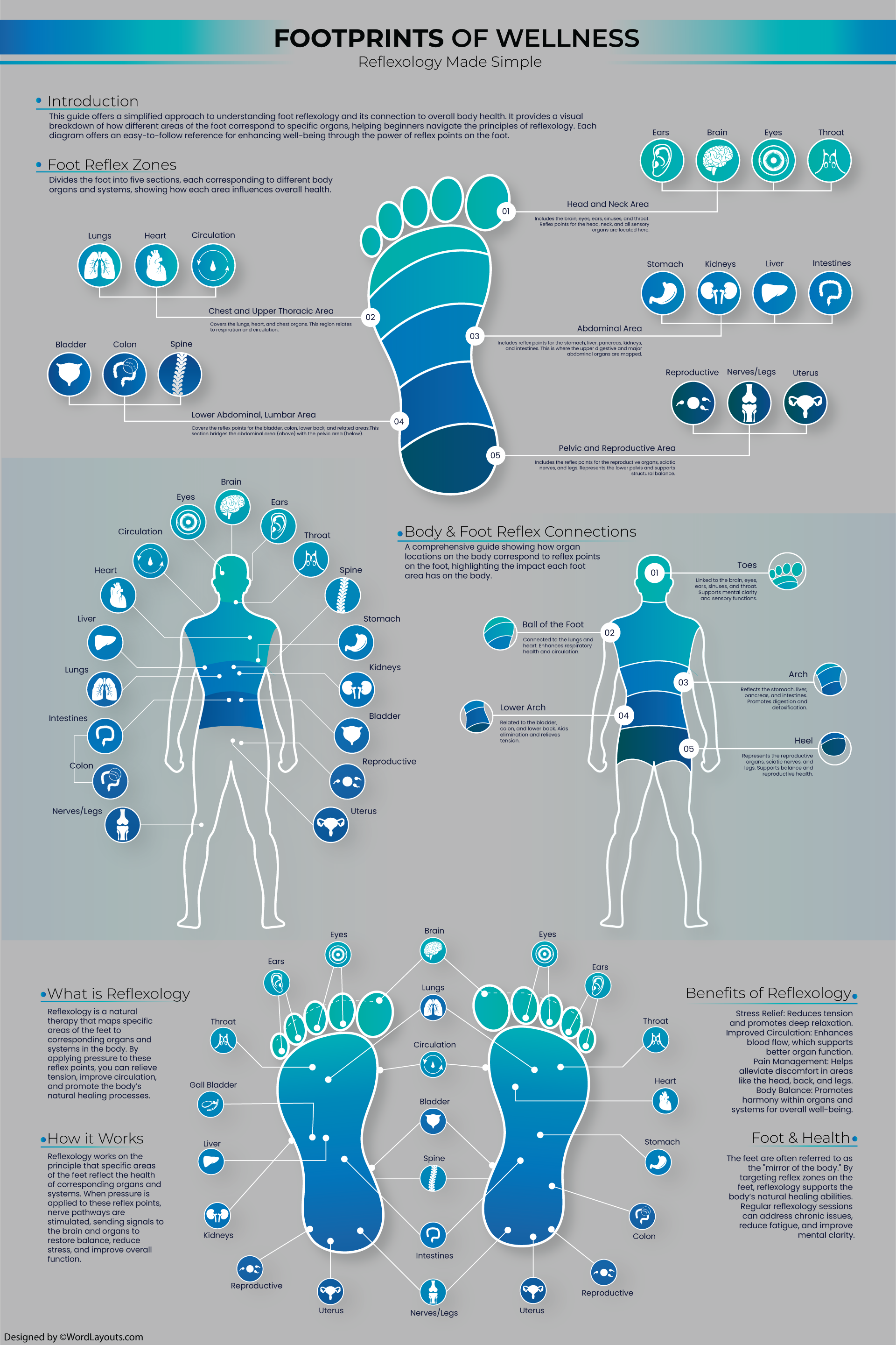 Printable Foot Reflexology Charts - WordLayouts