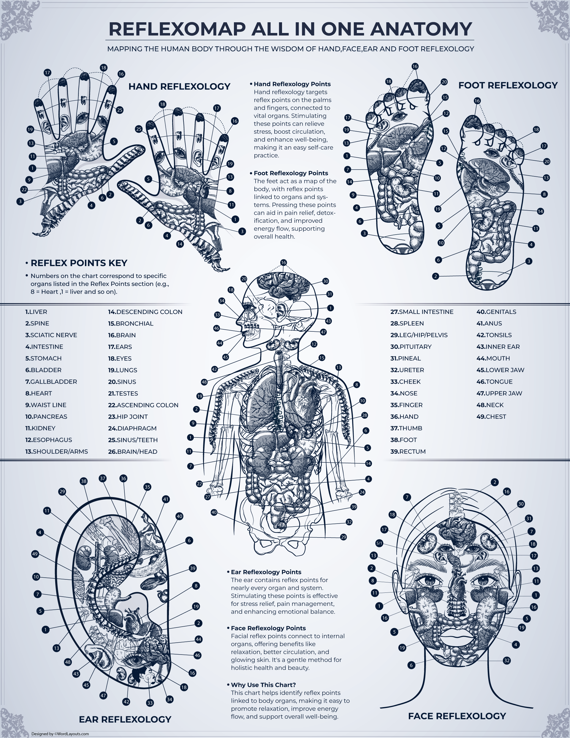 face-reflexology-chart-points-and-labels-wordlayouts for Free Printable Acupressure Points Chart Face Reflexology Chart (Points and Labels) - WordLayouts for Free Printable Acupressure Points Chart