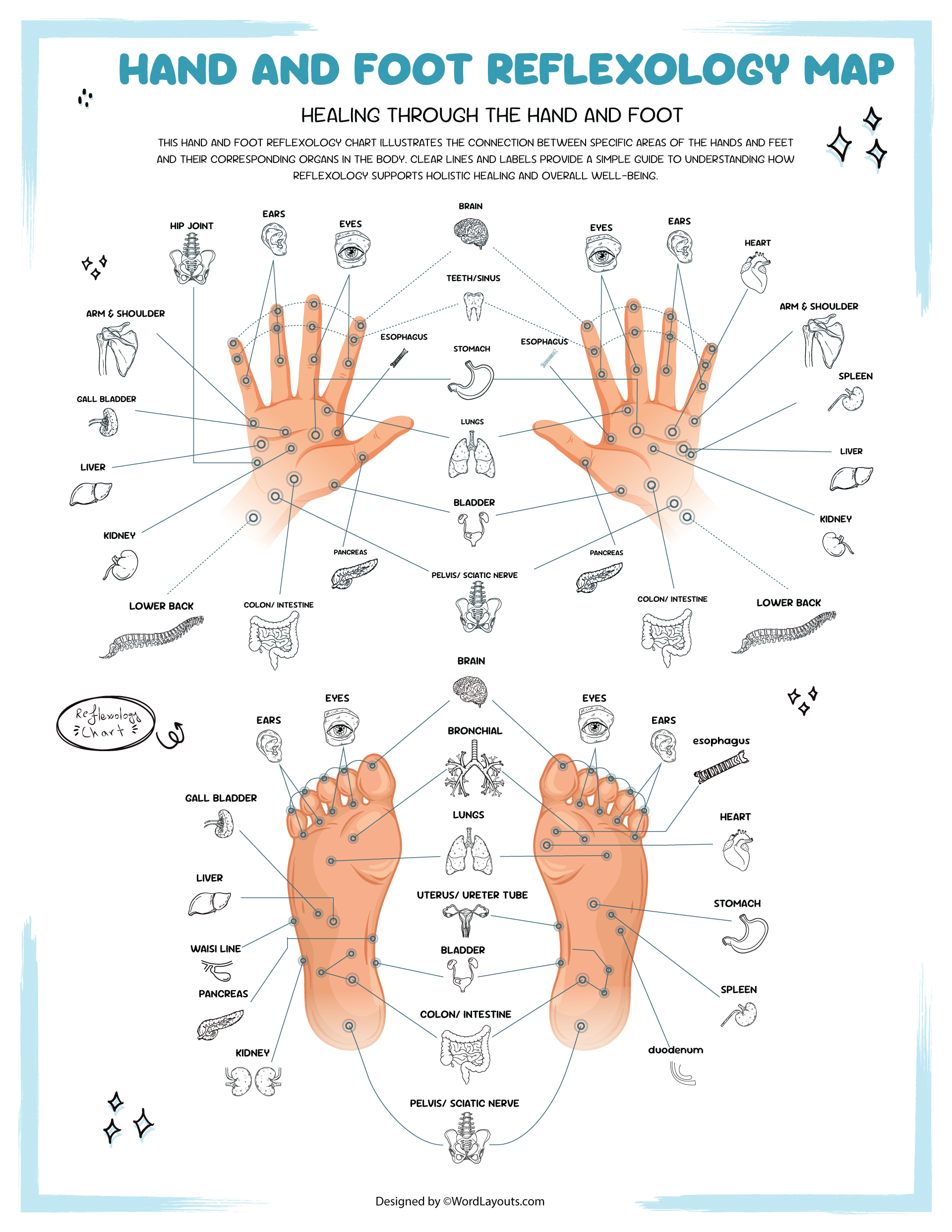 Reflexology Chart Hands and Feet - WordLayouts for Free Printable Acupressure Points Chart