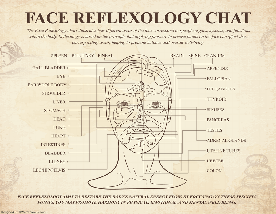 Free Reflexology Charts (Foot, Face, Ear, Hand)