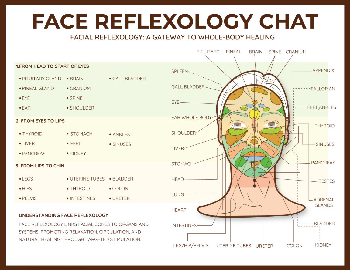 Free Reflexology Charts (Foot, Face, Ear, Hand)