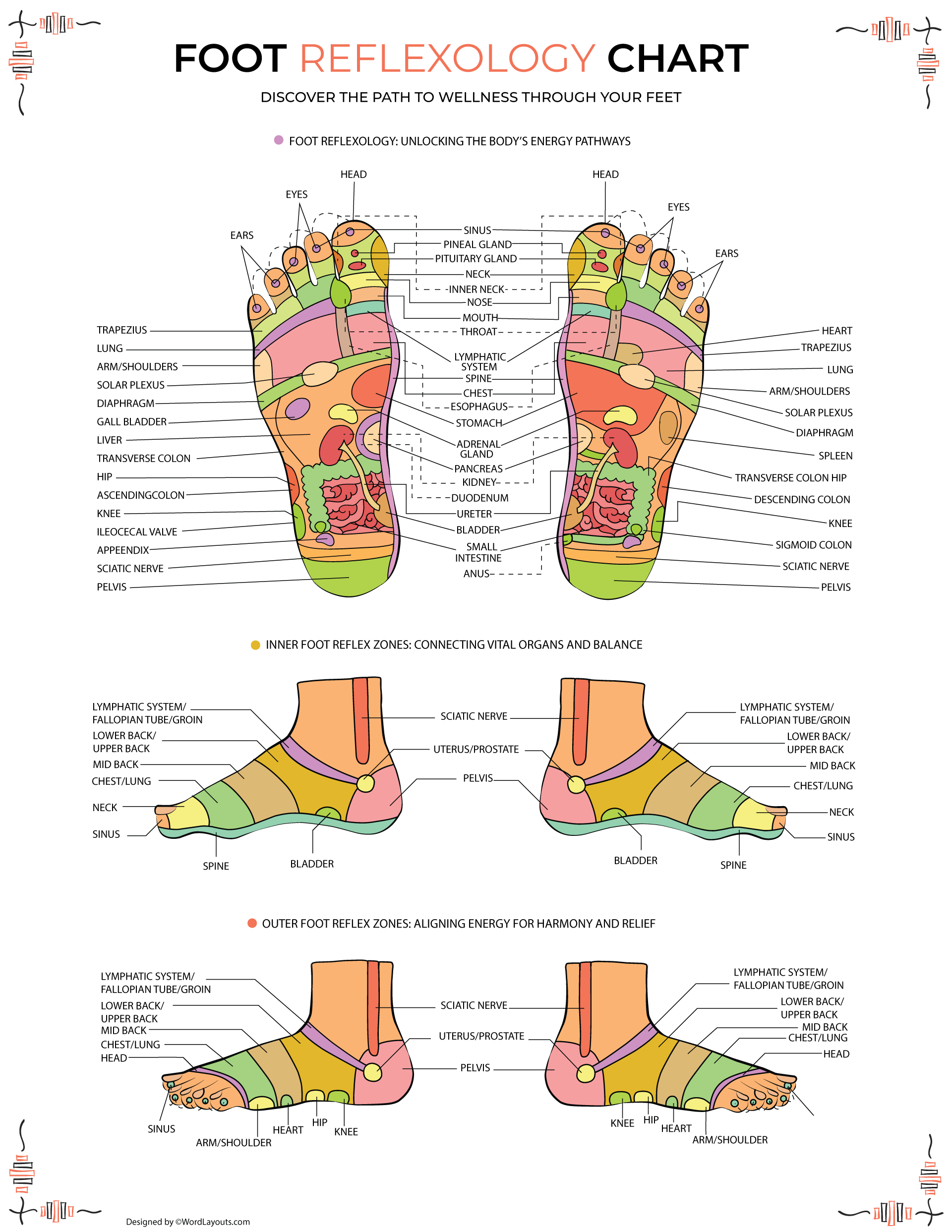 Free Reflexology Charts (Foot, Face, Ear, Hand)