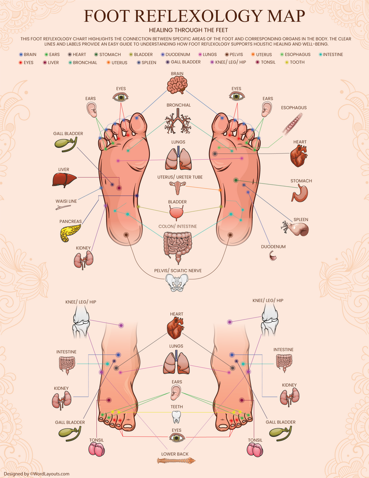 Printable Foot Reflexology Charts WordLayouts Printable Foot Reflexology Charts WordLayouts