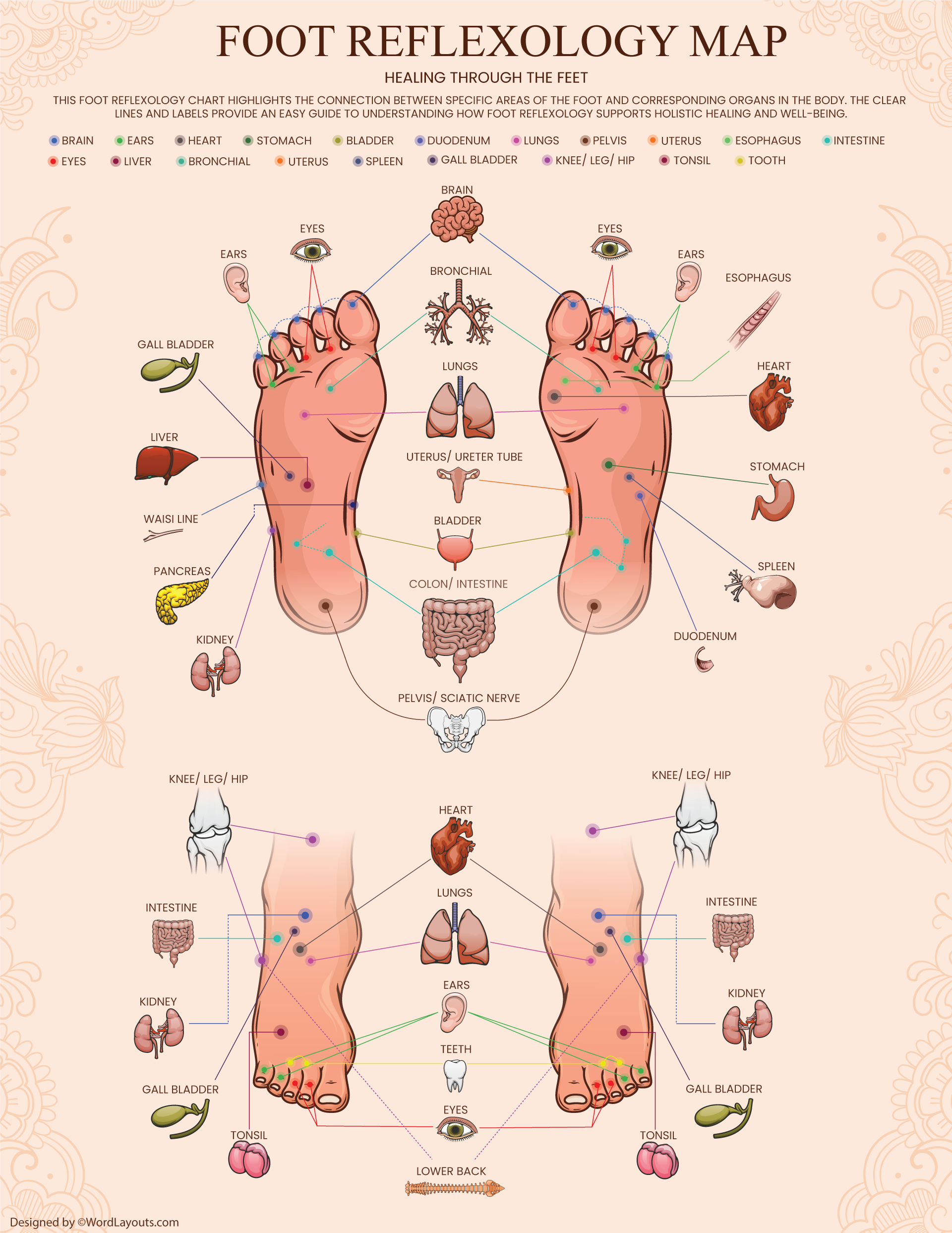 Foot Reflexology Organ Pathways Chart - WordLayouts
