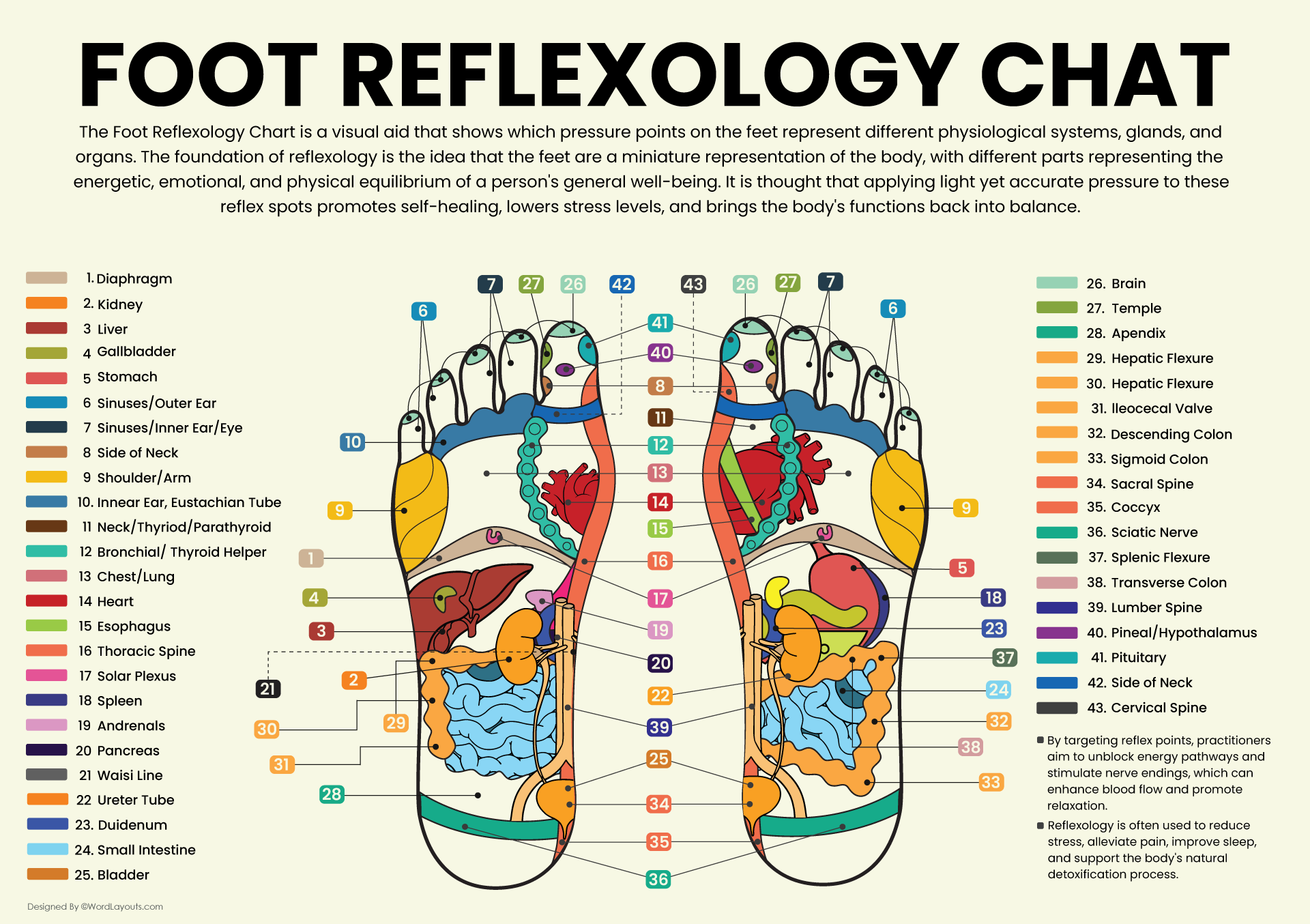 Printable Foot Reflexology Charts WordLayouts Printable Foot Reflexology Charts WordLayouts