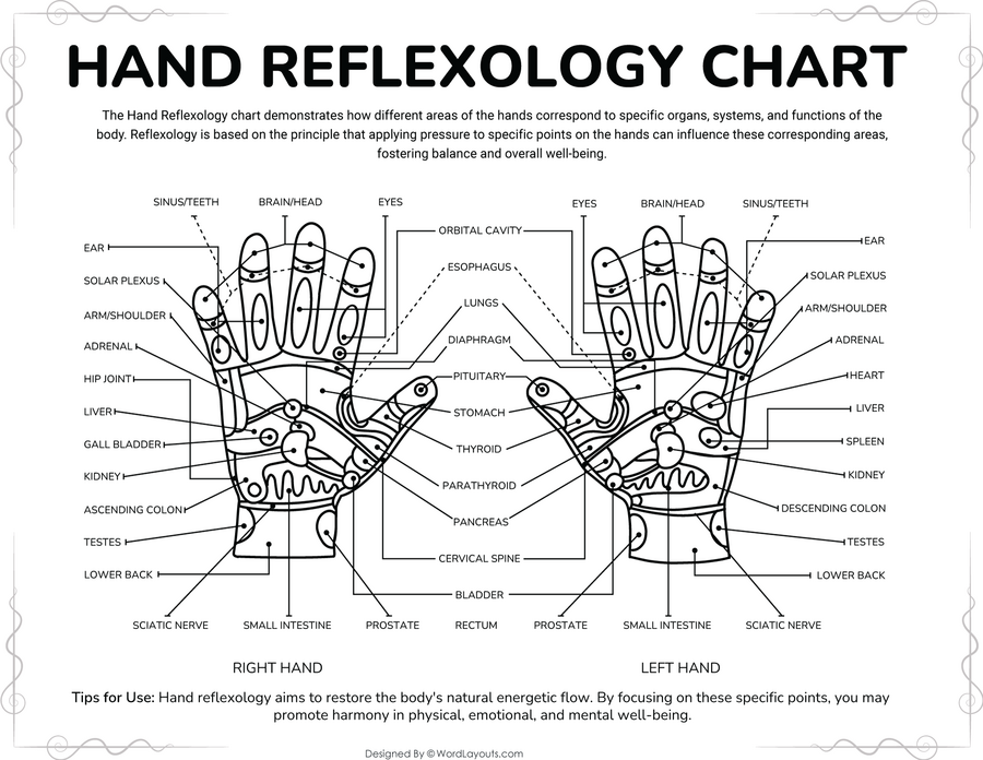 Free Reflexology Charts (Foot, Face, Ear, Hand)