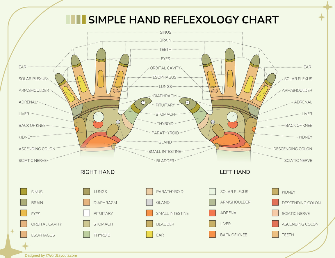 Free Reflexology Charts (Foot, Face, Ear, Hand)
