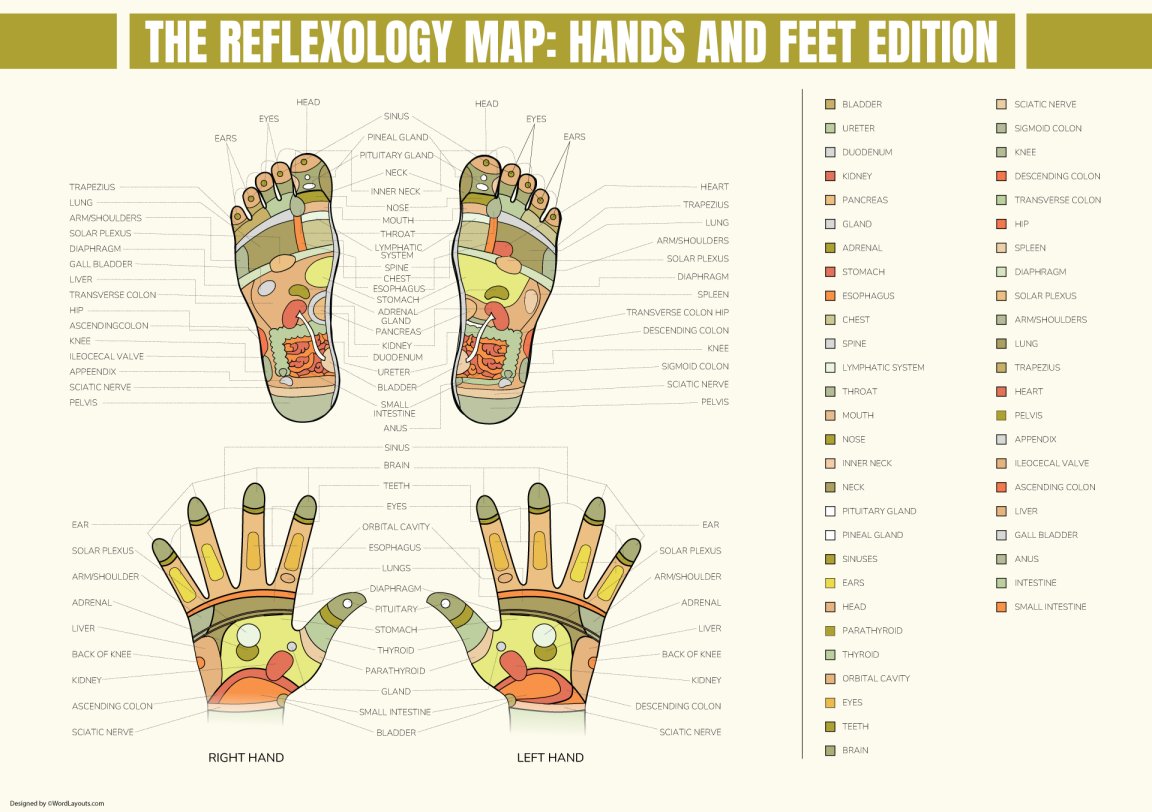 Free Reflexology Charts (Foot, Face, Ear, Hand)