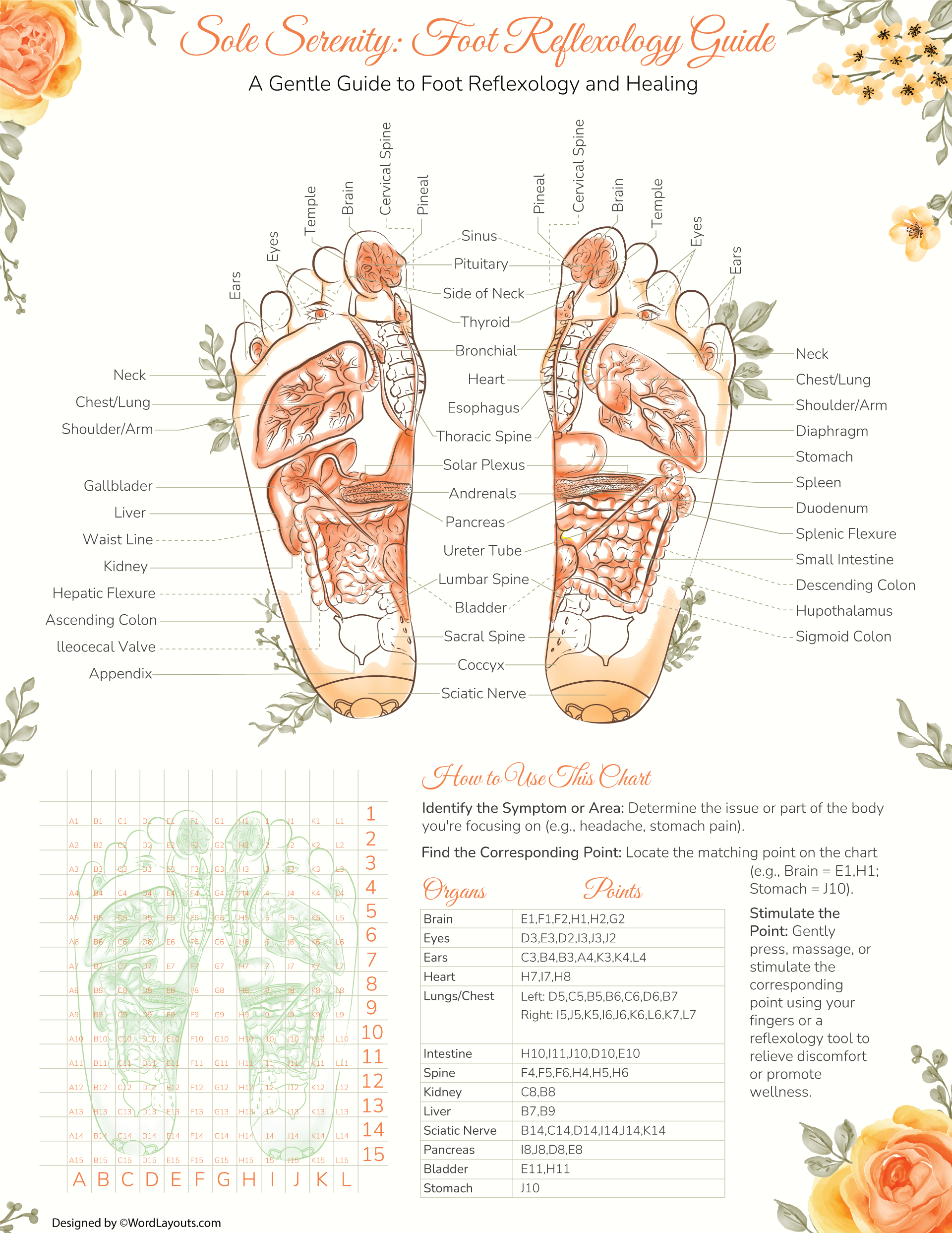 Printable Foot Reflexology Charts - WordLayouts