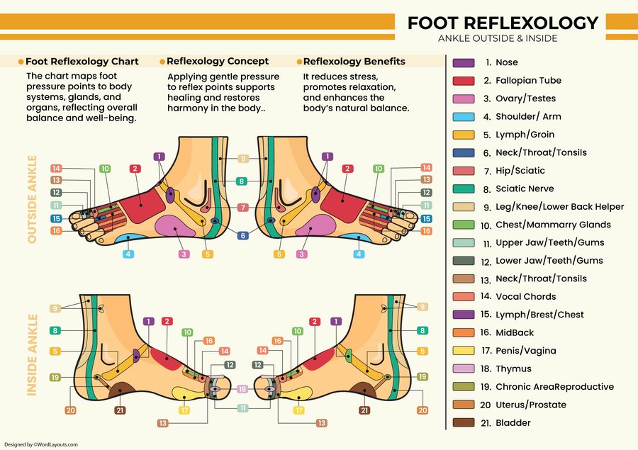 Detailed Foot Reflexology Chart (Printable) - WordLayouts