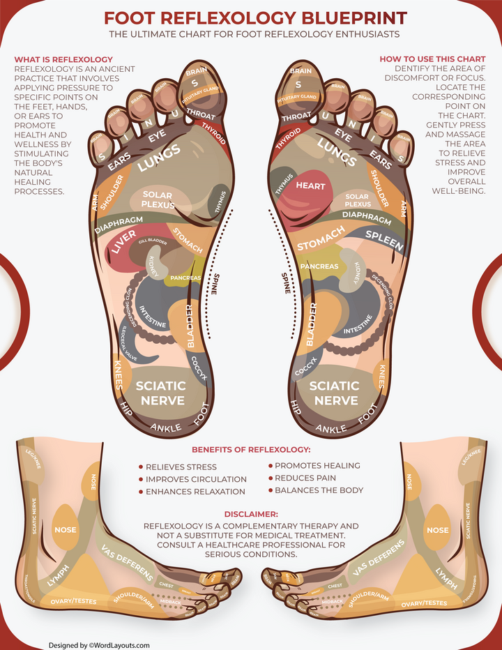 Printable Foot Reflexology Charts - WordLayouts