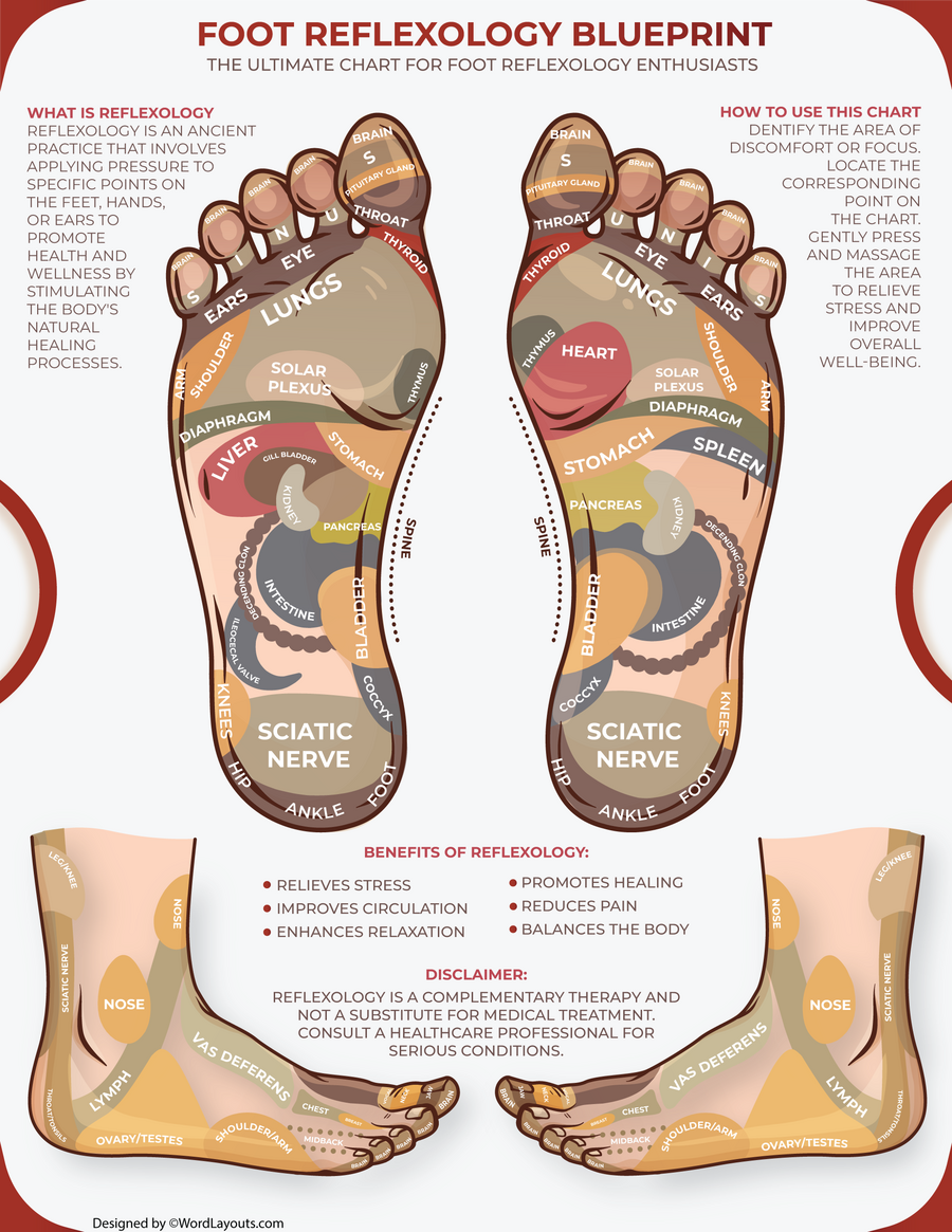 Foot Reflexology Organ Pathways Chart - WordLayouts