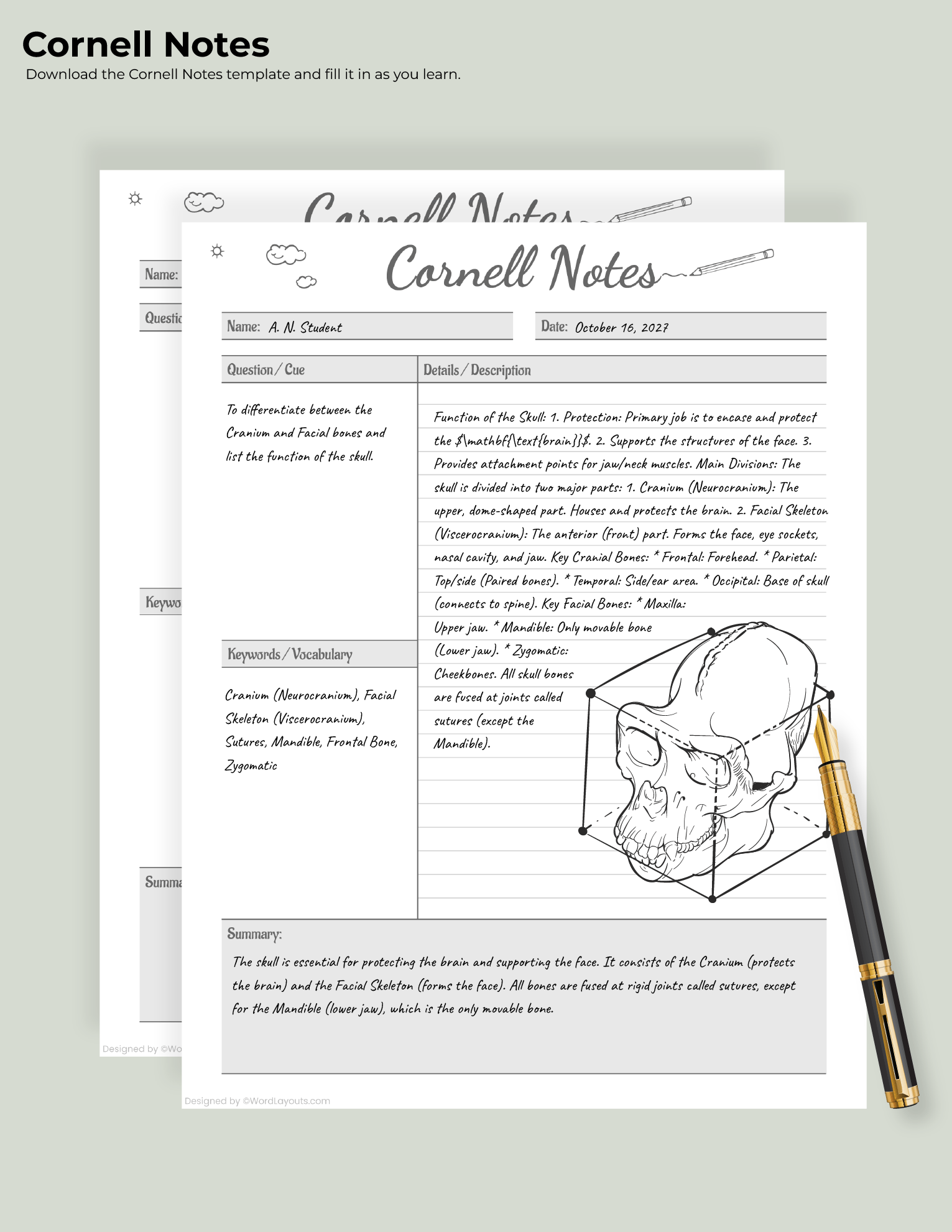 Cornell Notes Taking Sheet Template - WordLayouts